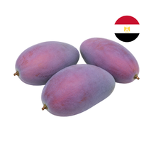 Mango Osteen 3kg låda